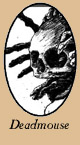 I write fan fiction epics about of me and Deadmouse!